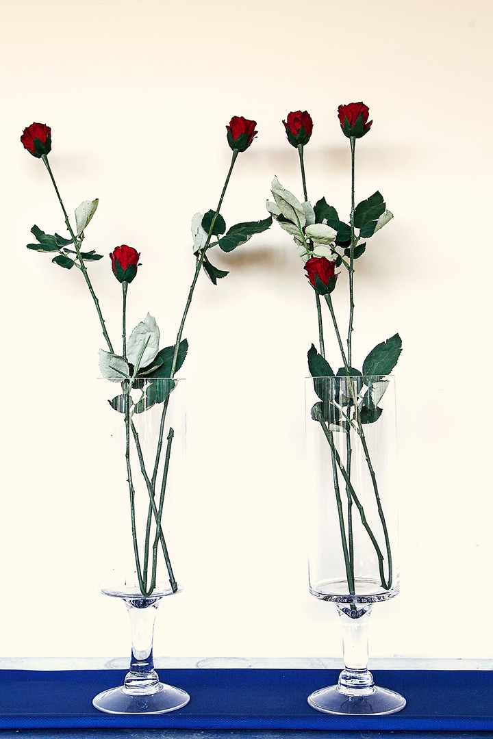 꽃병의 꽃