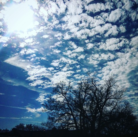beauty of nature
