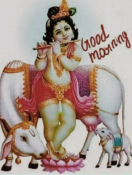 Hathi Ghoda Palki Jai Kanhaiya Lal Ki