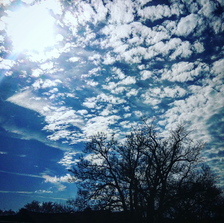beauty of nature