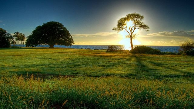 natural image