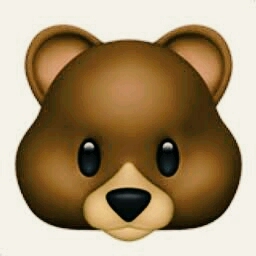 teddy bear