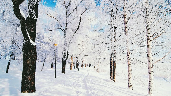 snow