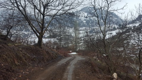 wınter