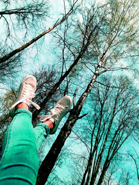 ταπετσαρίες tree, branch