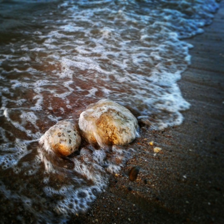 Sea