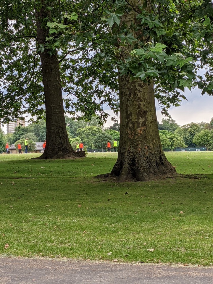 park#life