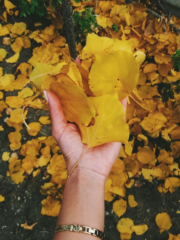 autumn