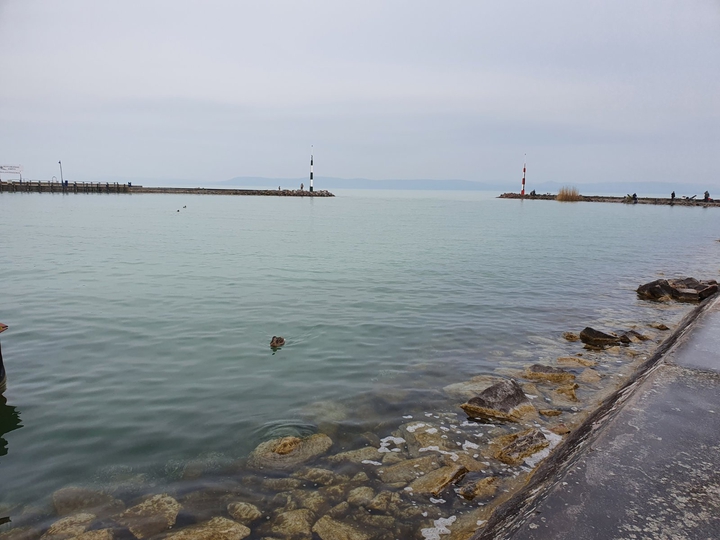 Balaton