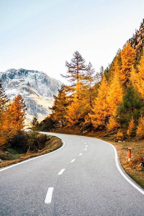 Autumn
