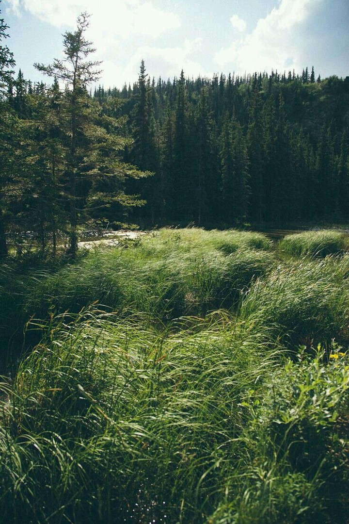 silence