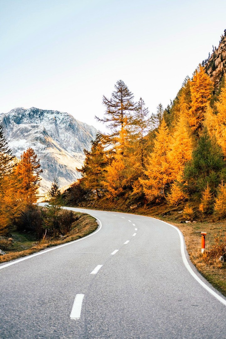 Autumn