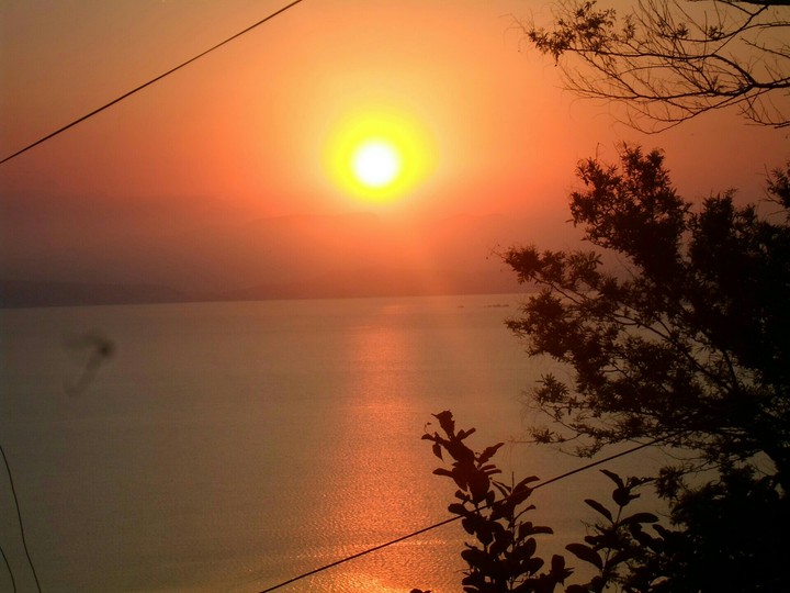sol