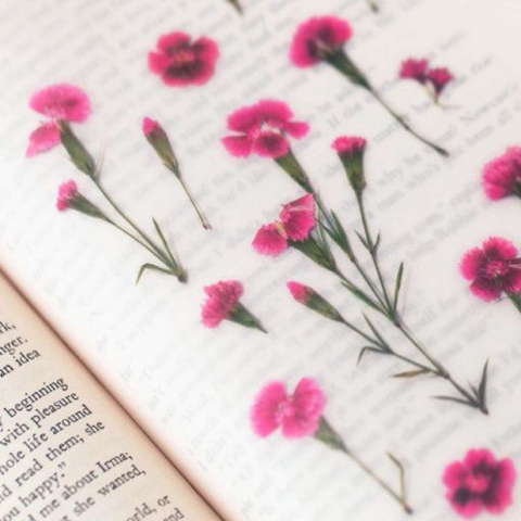 pink Flower Bookmarks