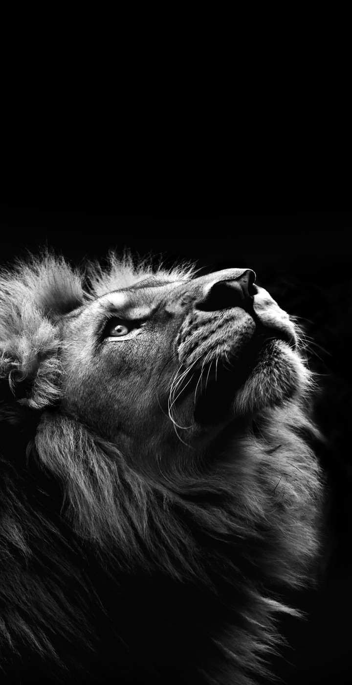 Rise above fear