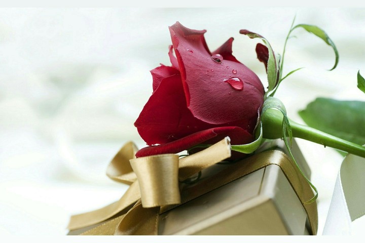 Rose rouge