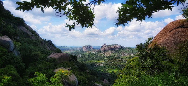 Landscape