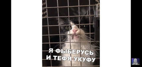 ооооо милота