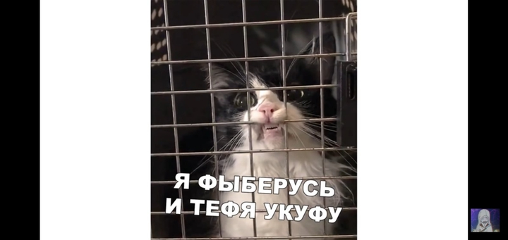 ооооо милота