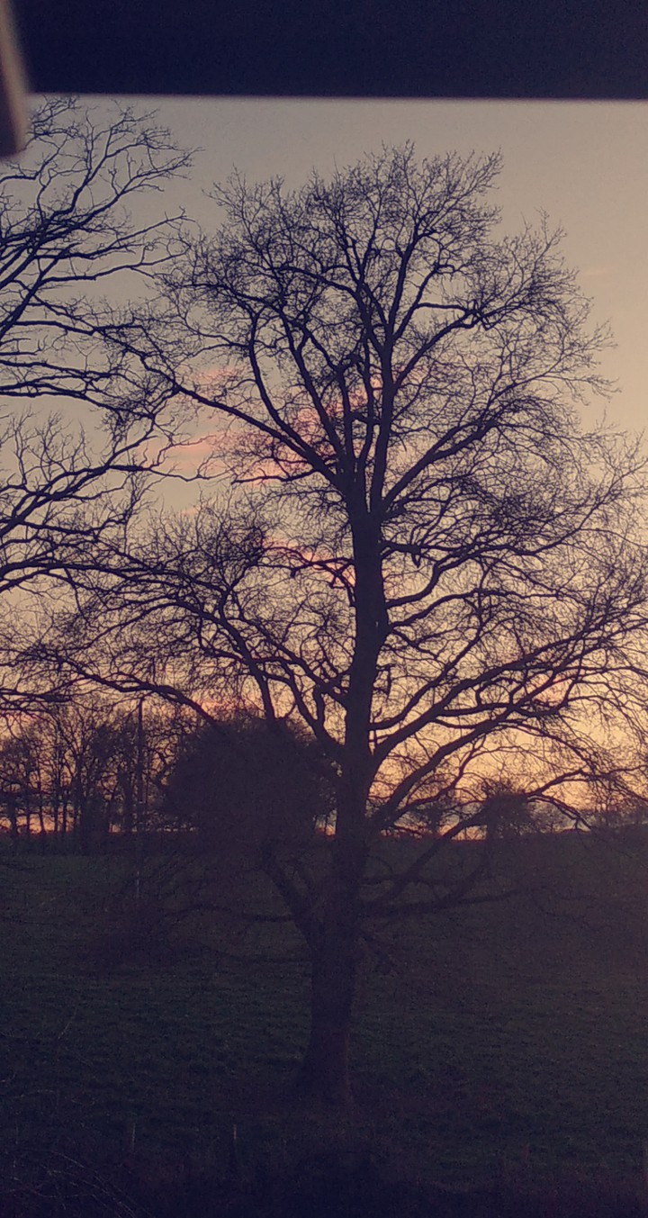 coucher du soleil