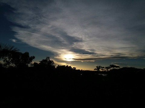 nature