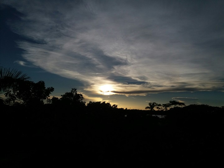nature