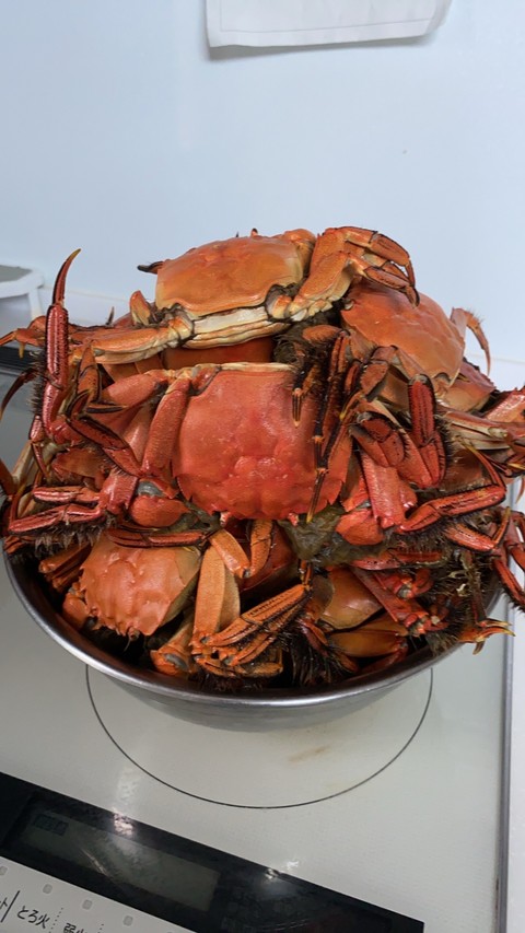 food, decapoda duvar kağıtları