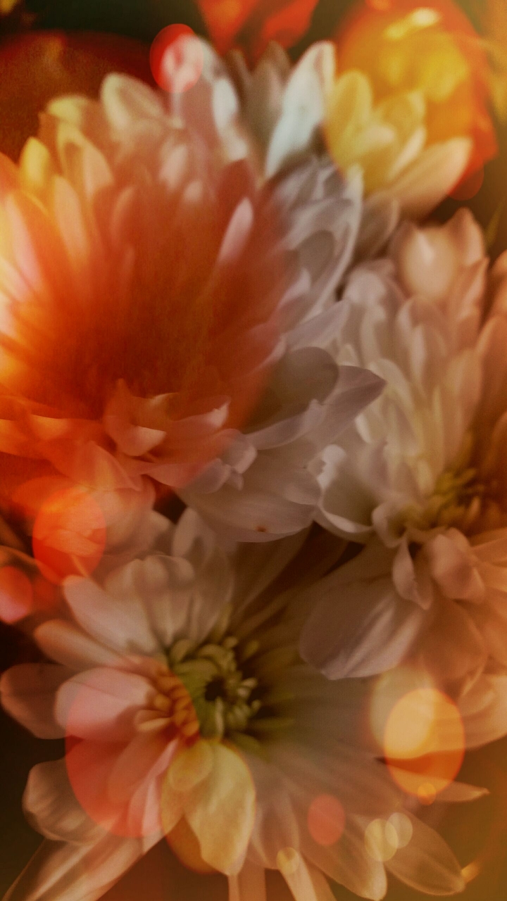 fresh flowers