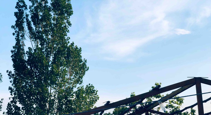 sky