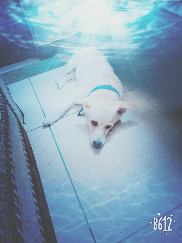 underwater