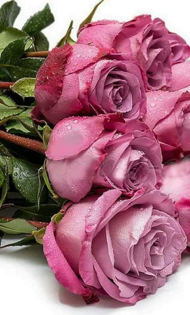 for u muskaan