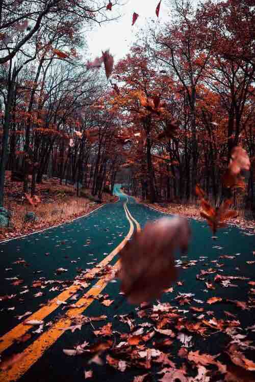 the road 3