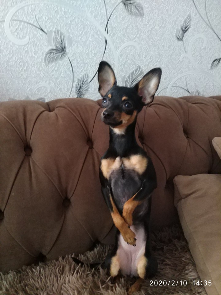 ?
