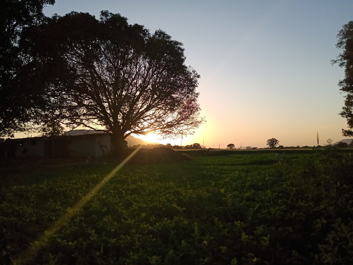 clicked by me
