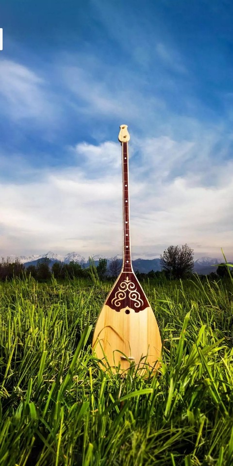 ταπετσαρίες baglamas, lute