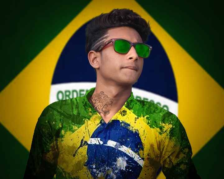 Brazil fan