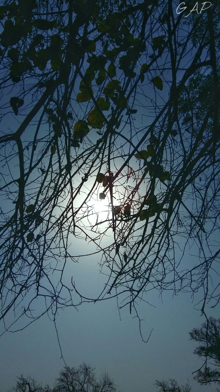 moon