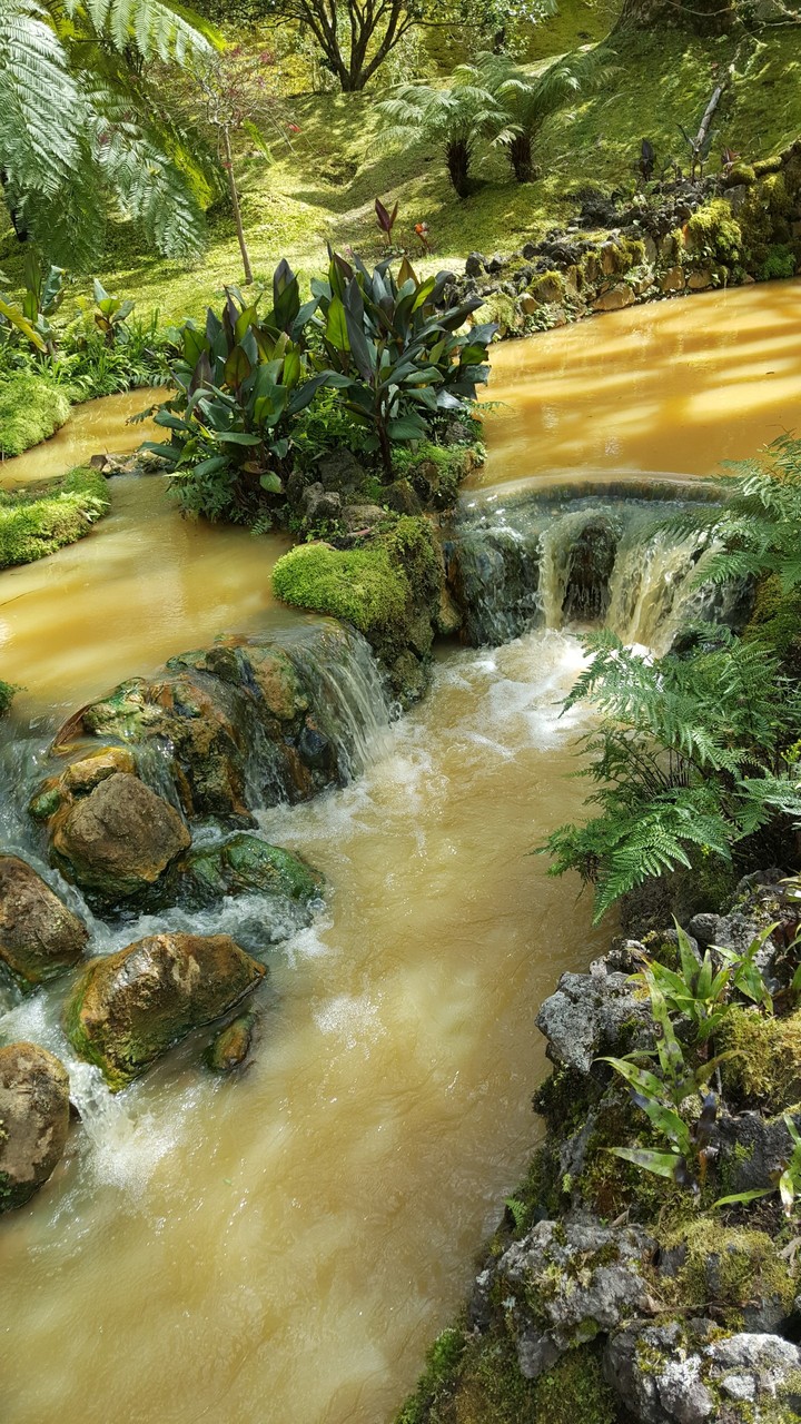 yellow water