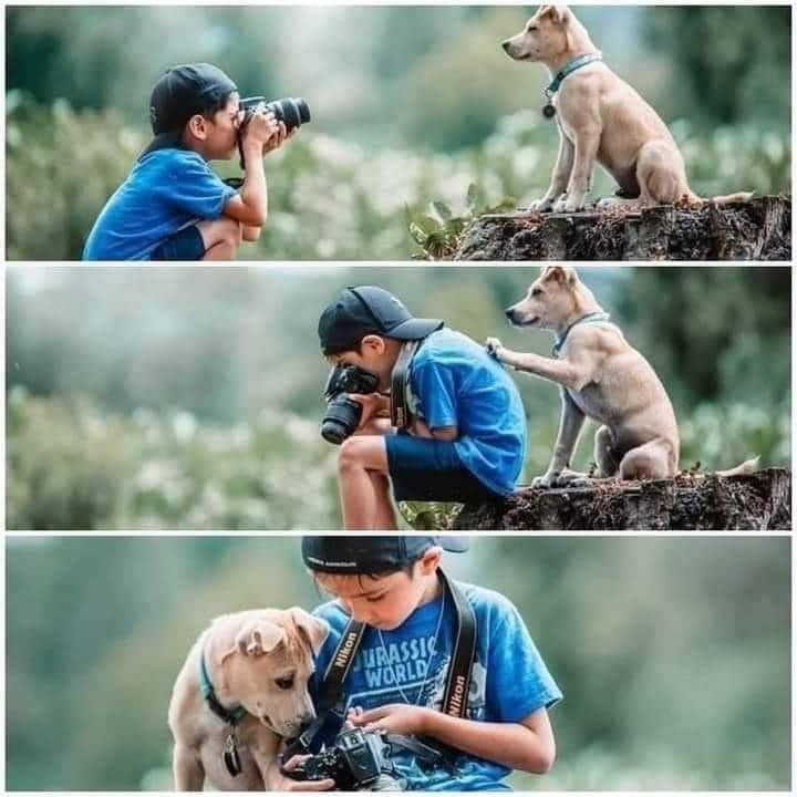 friends
