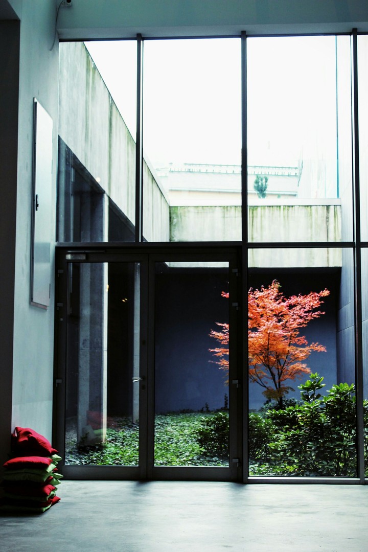 window