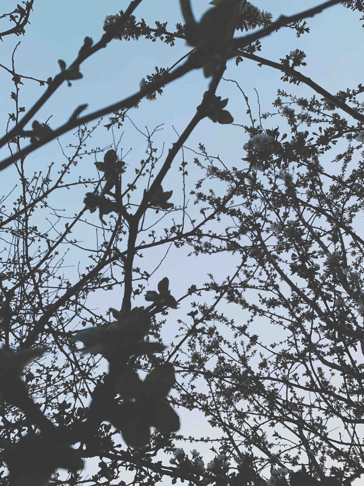springtime