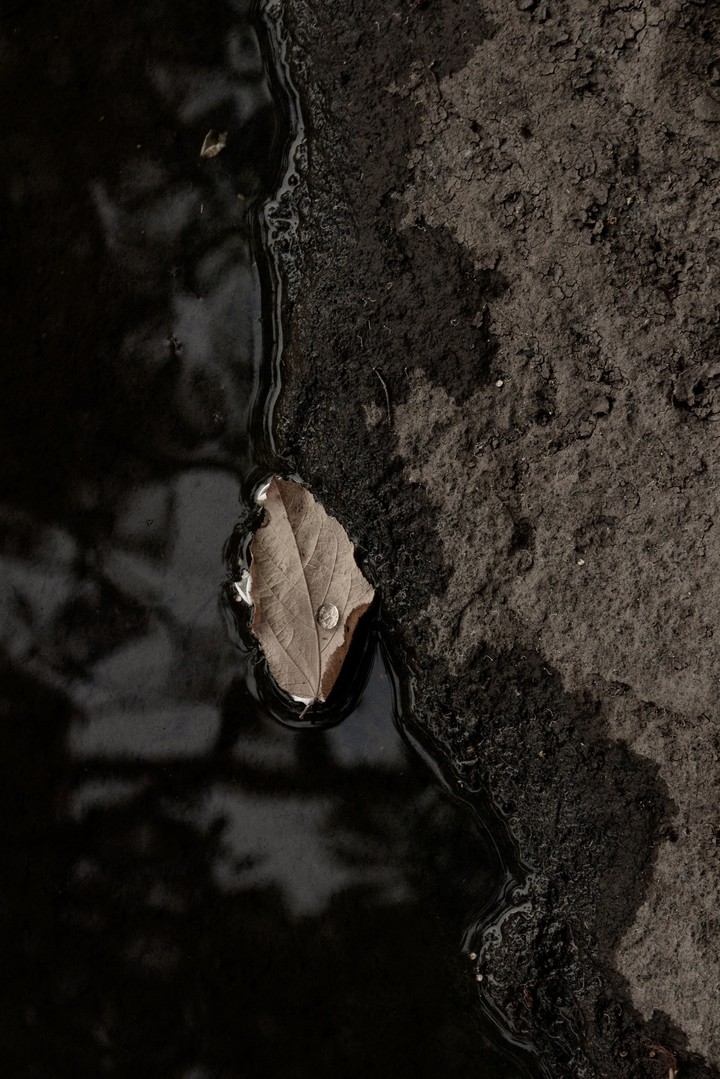 Leafy Drop
