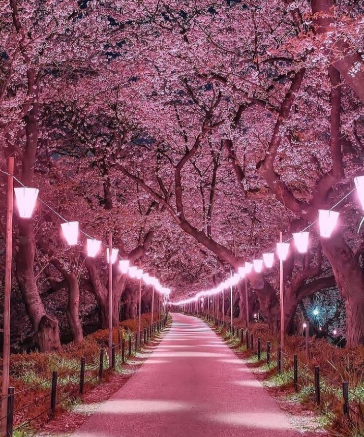 Beautiful