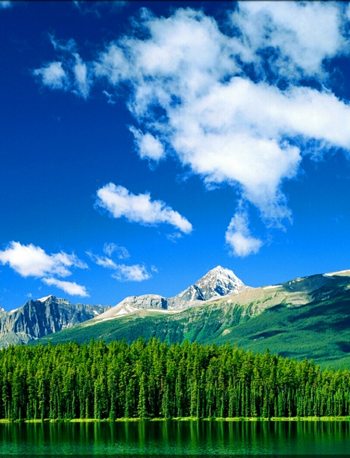 Nature