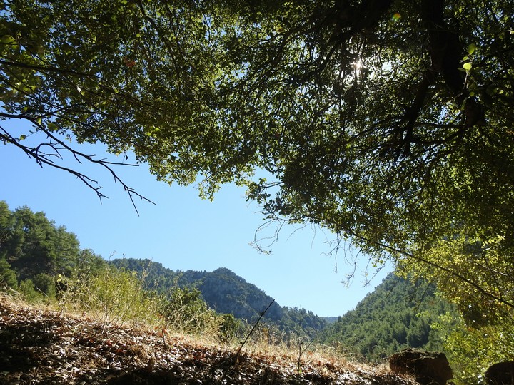 Foothpath