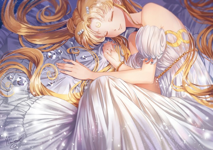 The princess's sleep