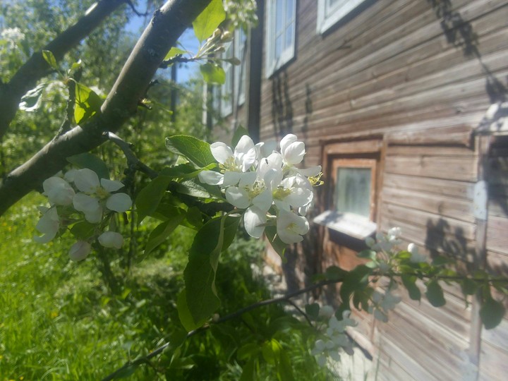 Счастье