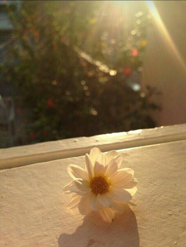 ❤