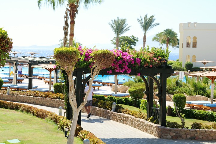 flowers gate