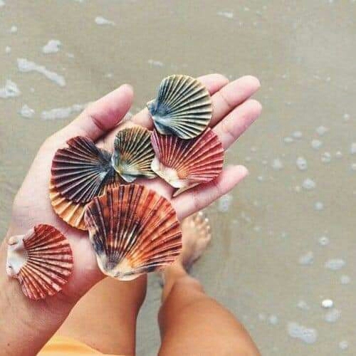 ❤